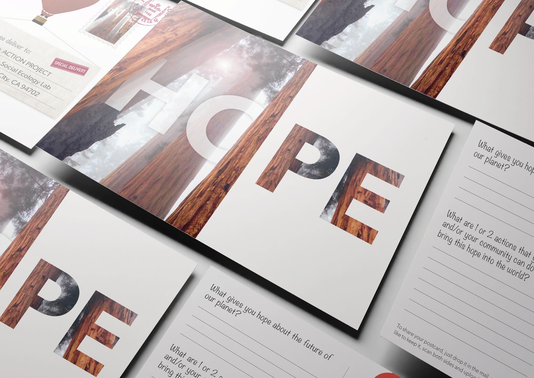 Collage of postcards with an image of a redwood tree trunk and the word "Hope"