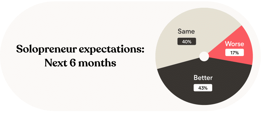 Pie chart with title Solopreneur expectations Next 6 months. Chart shows 40% same, 17% worse, 43% better.